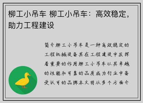 柳工小吊车 柳工小吊车：高效稳定，助力工程建设