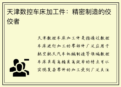 天津数控车床加工件：精密制造的佼佼者